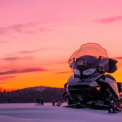 Адреналин в планината: Моторна шейна на Боровец