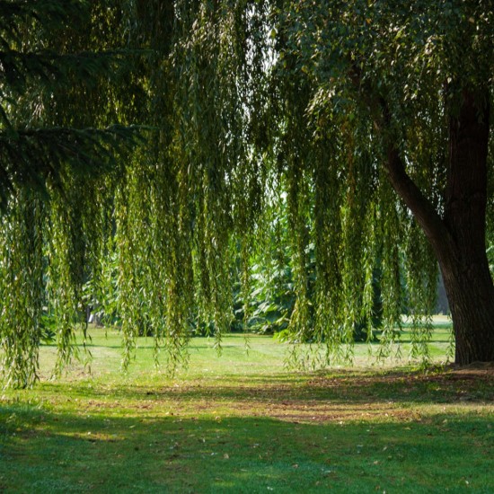Забавление и релакс с Урок по голф в Голф клуб „Air Sofia“ от Makaroon