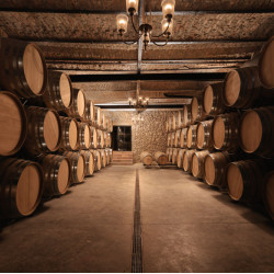 Винена дегустация за четирима в Bononia Estate Winery & Resort Винена дегустация за четирима в Bononia Estate Winery & Resort