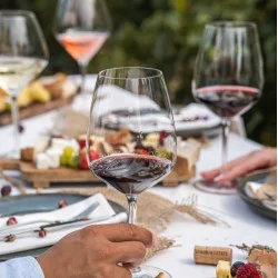 Винена дегустация за четирима в Bononia Estate Winery & Resort