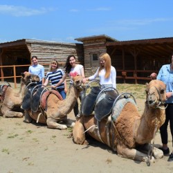 With a feel of Egypt: Camel ride for two in Camel Park, Sunny Beach