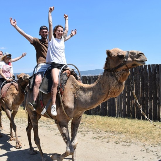 Spend an unforgettable adventurous day with a feeling of Egypt with a Camel Ride for Two + 2 children in Camel Park, Sunny Beach from Makaroon Spend an unforgettable adventurous day with a feeling of Egypt with a Camel Ride for Two + 2 children in Camel Park, Sunny Beach from Makaroon