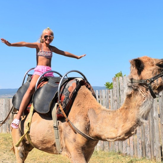 Spend an unforgettable adventurous day with a feeling of Egypt with a Camel Ride for Two + 2 children in Camel Park, Sunny Beach from Makaroon Spend an unforgettable adventurous day with a feeling of Egypt with a Camel Ride for Two + 2 children in Camel Park, Sunny Beach from Makaroon