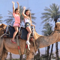 With a feel of Egypt: Camel ride for two + 1 child up to 12 years old in Camel Park, Sunny Beach With a feel of Egypt: Camel ride for two + 1 child up to 12 years old in Camel Park, Sunny Beach