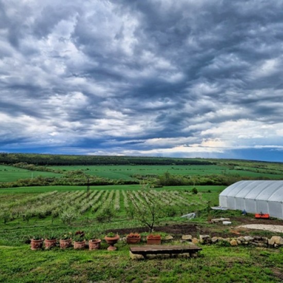 Организирайте своята пълноценна почивка сред уют и природа с Нощувка за двама в Спа Хотел Carpe Diem от Makaroon