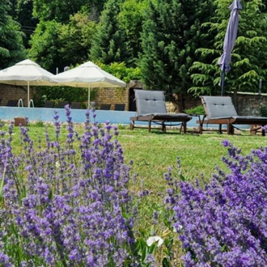 Организирайте своята пълноценна почивка сред уют и природа с Нощувка за двама в Спа Хотел Carpe Diem от Makaroon