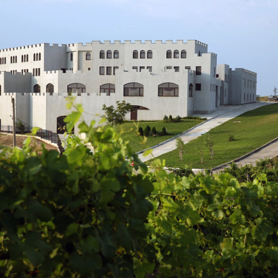 Винена дегустация в Шато Бургозоне за двама - наслада за сетивата от Макароон