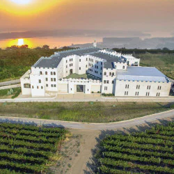 Винена дегустация в Шато Бургозоне за двама - наслада за сетивата Винена дегустация в Шато Бургозоне за двама - наслада за сетивата