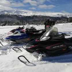 Подари зимно приключение - Преход с моторна шейна на Витоша или Рила планина