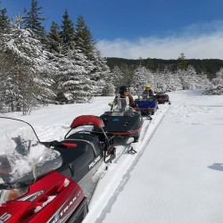 Winter adventure - Snowmobile ride on Vitosha or Rila mountain
