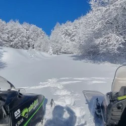 Каране на моторна шейна един час в района на Петрохан