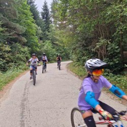 4-hour e-bike tour for one person + pizza or burger and drink of choice near Borovets