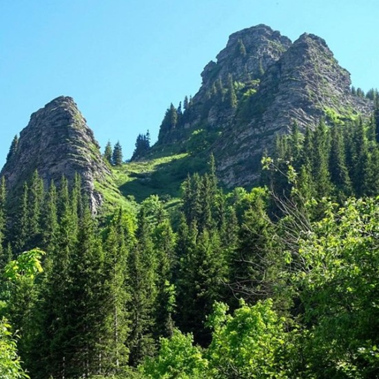 Immerse yourself in the atmosphere of the Chiprovtsi Balkan with an off-road jeep tour + visit to a carpet workshop and brewery from Makaroon