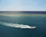 Разходка с луксозна моторна лодка на яз.Искър - Всички Артикули | Makaroon.bg Разходка с луксозна моторна лодка на яз.Искър | Makaroon.bg