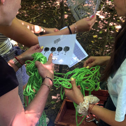 Forest Quest приключенска игра за 6 човека на Витоша планина!