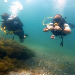 Морско приключение - гмуркане край Несебър Морско приключение - гмуркане край Несебър