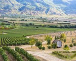 Изживейте едно необикновено преживяване с офроуд с АТВ и пикник за двама в Пловдив от Makaroon