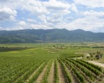Съчетайте полезното с приятното с Разходка с електрически велосипед под наем + пикник за двама в Пловдив от Makaroon