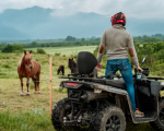 Close to nature with a 3-hour horseback ride and ATV ride in the Plovdiv region Makaroon