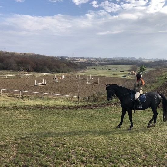 Споделени мигове с "Романтичен пикник и конна езда за двама около Велико Търново" от Makaroon
