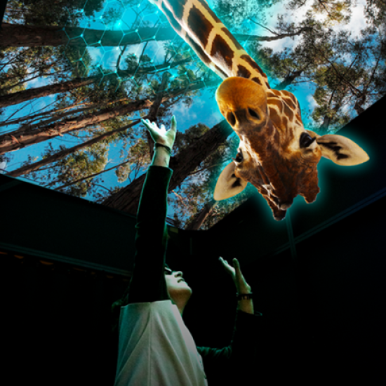 Насладете се на едно впечатляващо шоу от ново поколение с посещение на Hologram Zoo Sofia от Makaroon