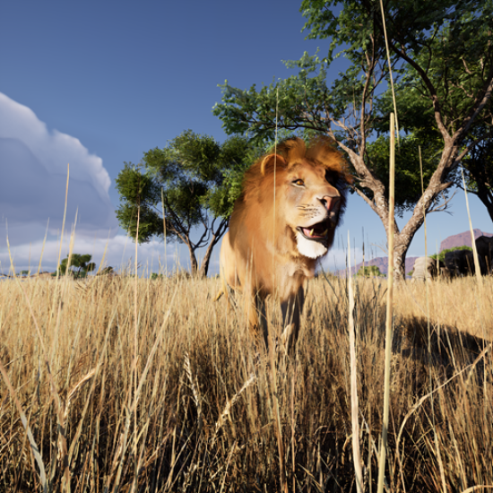 Насладете се на едно впечатляващо шоу от ново поколение с посещение на Hologram Zoo Sofia от Makaroon