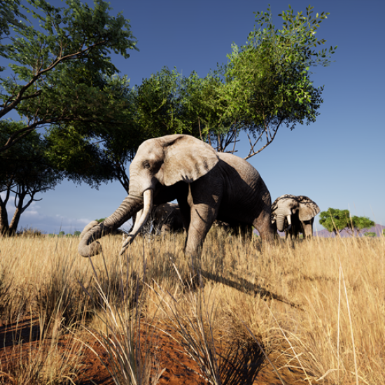 Насладете се на едно впечатляващо шоу от ново поколение с посещение на Hologram Zoo Sofia от Makaroon