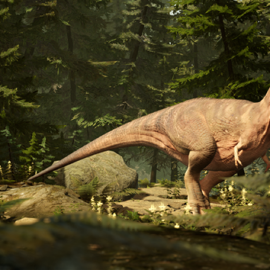 Насладете се на едно впечатляващо шоу от ново поколение с посещение на Hologram Zoo Sofia от Makaroon