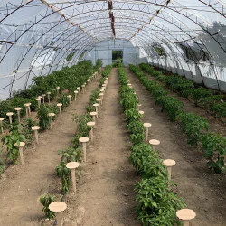 Тур и вечеря в "Люта Ферма" до Варна - парещо преживяване! Тур и вечеря в "Люта Ферма" до Варна - парещо преживяване!