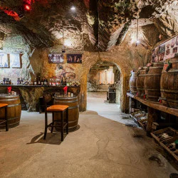 Вход за музея на виното за двама в гр. Мелник с включена дегустация на 5 вида вино и една ракия