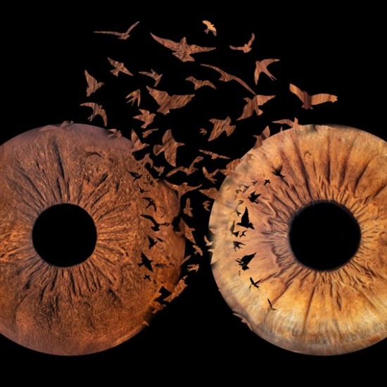 Частица от душата в картина с Ирисова фотография в Плевен от Makaroon