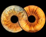 Частица от душата в картина с Ирисова фотография в Плевен от Makaroon