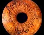 Частица от душата в картина с Ирисова фотография в Плевен от Makaroon