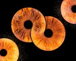 Частица от душата в картина с Ирисова фотография в Плевен от Makaroon