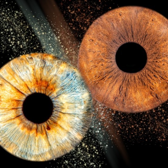 Частица от душата в картина с Ирисова фотография в Плевен от Makaroon