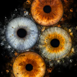 Изкуство и индивидуалност с Ирисова фотография в Русе - заснемане на четири ириса