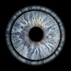 Изкуство и индивидуалност с Ирисова фотография в Русе - заснемане на четири ириса