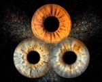 Направете (си) подарък със смисъл с Ирисова фотография в Стара Загора от Makaroon Направете (си) подарък със смисъл с Ирисова фотография в Стара Загора от Makaroon