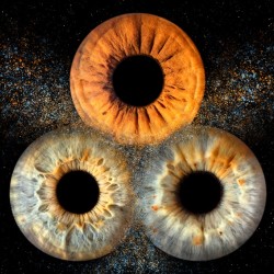 Iris photography in Stara Zagora – art hidden in the eyes - Capturing three irises in a frame