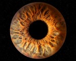 Направете (си) подарък със смисъл с Ирисова фотография в Стара Загора от Makaroon Направете (си) подарък със смисъл с Ирисова фотография в Стара Загора от Makaroon