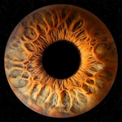 Iris photography in Stara Zagora – art hidden in the eyes - Capturing an iris in a frame