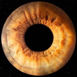 Iris photography in Stara Zagora – art hidden in the eyes - Capturing two irises in a frame