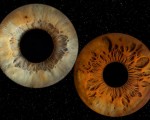 Направете (си) подарък със смисъл с Ирисова фотография в Стара Загора от Makaroon Направете (си) подарък със смисъл с Ирисова фотография в Стара Загора от Makaroon