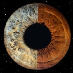 Iris photography in Stara Zagora – art hidden in the eyes - Capturing four irises in a frame