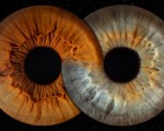 Направете (си) подарък със смисъл с Ирисова фотография в Стара Загора от Makaroon Направете (си) подарък със смисъл с Ирисова фотография в Стара Загора от Makaroon