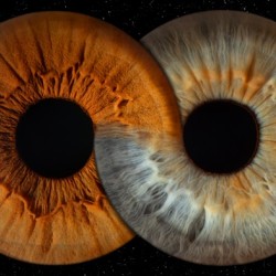 Iris photography in Stara Zagora – art hidden in the eyes - Capturing two irises in a frame