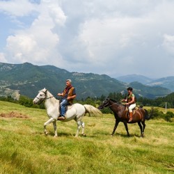 Конна езда в красивите поляни на гр. Банкя и планина Люлин