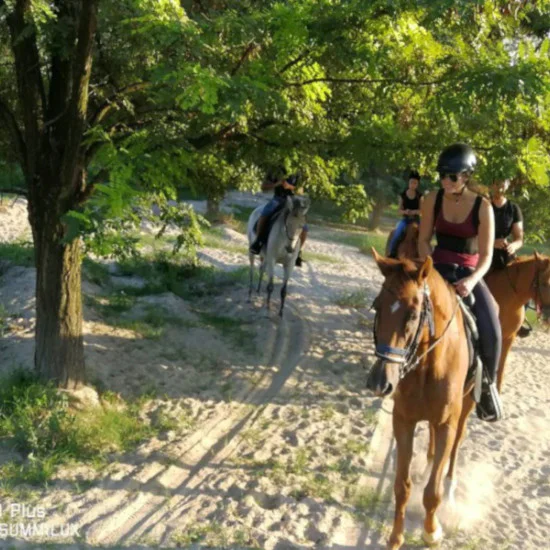 Разходка на кон сред природата около Пловдив - Преживявания в Пловдив - 37.00 | Makaroon.bg Разходка на кон сред природата около Пловдив | Makaroon.bg