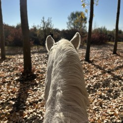A horse ride in nature, a visit to Tara farm and lunch for two near Plovdiv