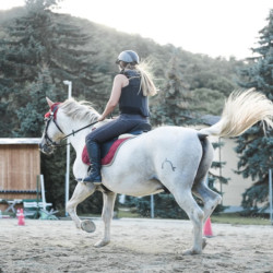 Horse Riding Lesson around Plovdiv